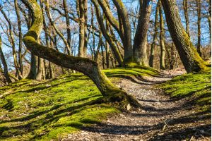 Wanderung am Schmugglerweg